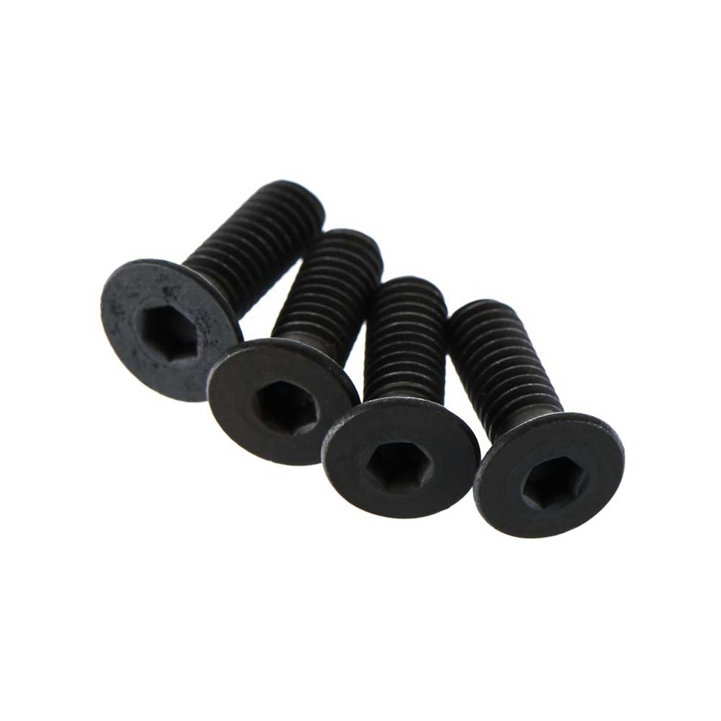 Flat Head Screw 4x12mm (4) (AR722412)